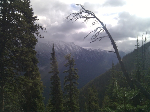 Hike Sulphur Mountain